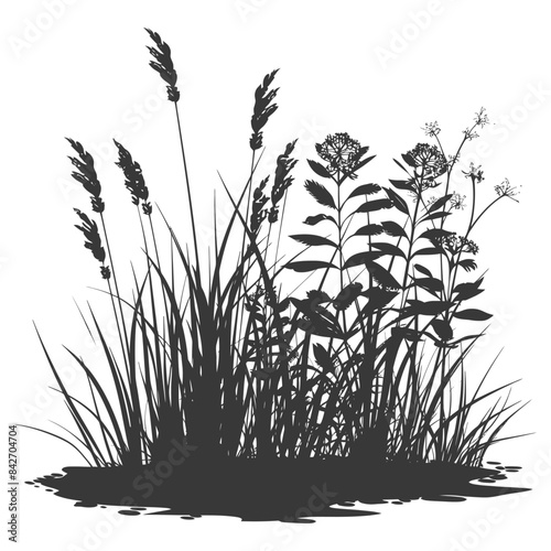 silhouette swamp coastal plants black color only