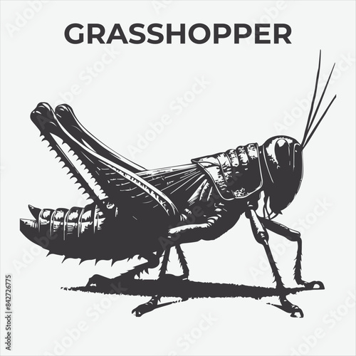 A Clear and Bold Grasshopper silhouette for Versatile Applications. Vector Illustration