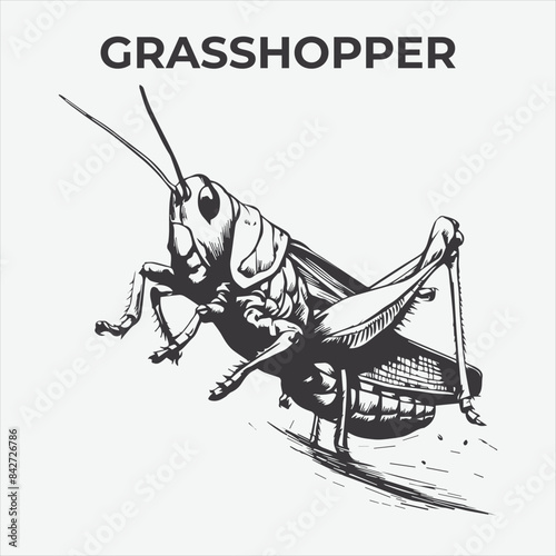 A Distinctive Grasshopper Silhouette for Multi-Format Design Projects. Vector Illustration