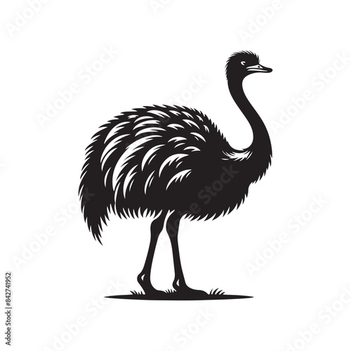 Ostrich silhouette vector art illustration. photo