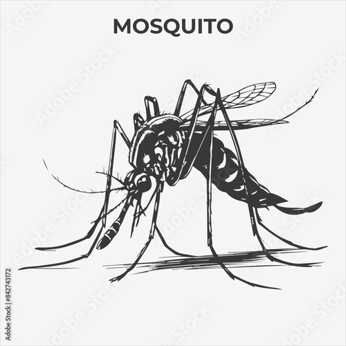 A Clear and Mosquito Lice silhouette for Versatile Applications. Vector Illustration