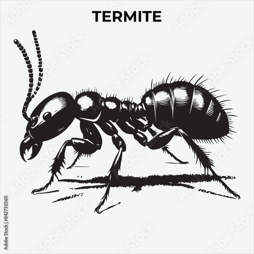 A Clear and Termite Lice silhouette for Versatile Applications. Vector Illustration