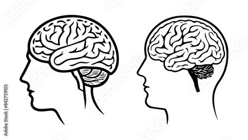 human head silhouette with brain
