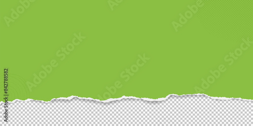 Green paper strip with torn edge and soft shadow is on squared background for text or ad.
