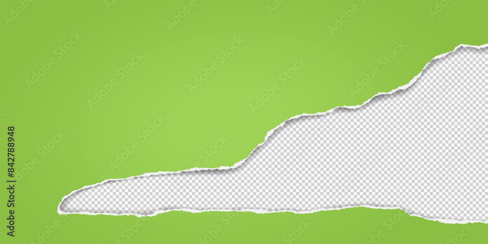 Green paper strip with torn edge and soft shadow is on squared ...
