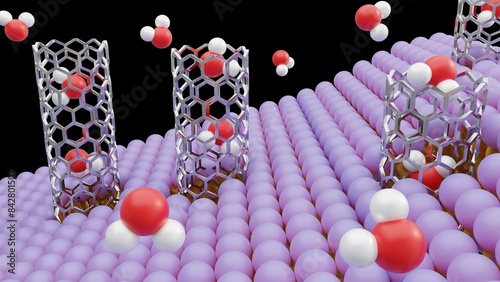 3d rendering of molecules passing through carbon nanotube porins on lipid bilayer membrane photo
