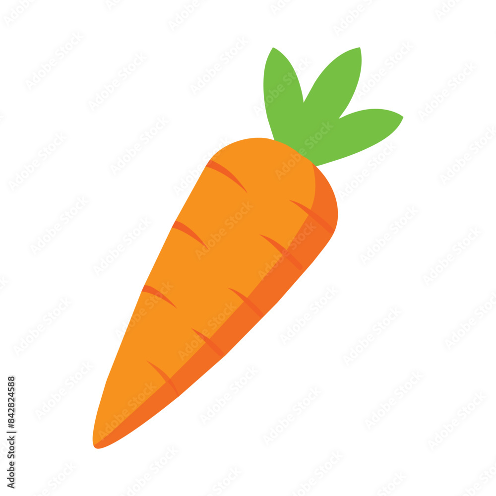 Carrot vector illustration isolated on a white background Carrot vector illustration isolated on a white background