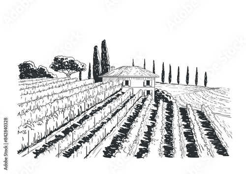 Countryside scenery in Tuscany, Italy. Handmade drawing vector illustration. Vintage style. Engraved old sketch style monochrome vector.