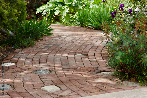 stone path in the garden