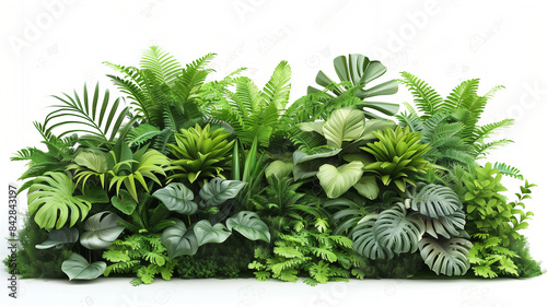 A vibrant assortment of tropical foliage with various shapes and shades of green  presented against a pure white background.