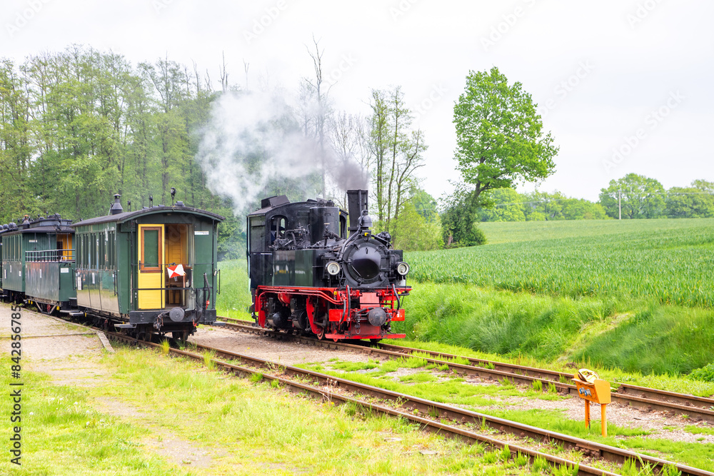 Fototapeta premium Kleinbahn, Prignitz, Lindenberg, Groß Pankow, Brandenburg, Deutschland 