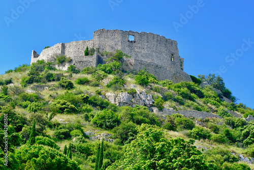 CHÂTEAU VILLAGE SAINT VICTOR LA COSTE GARD photo