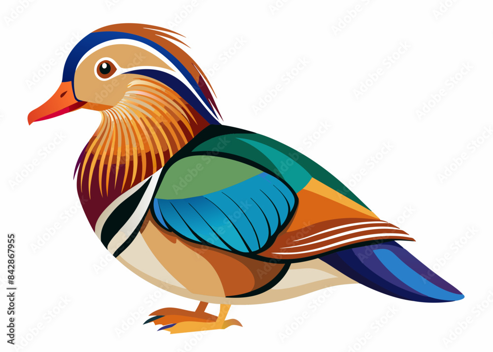 Obraz premium Mandarin Duck vector illustration