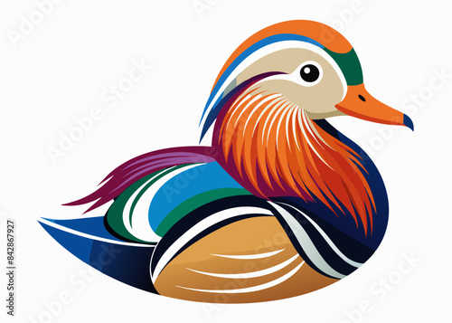  Mandarin Duck vector illustration 