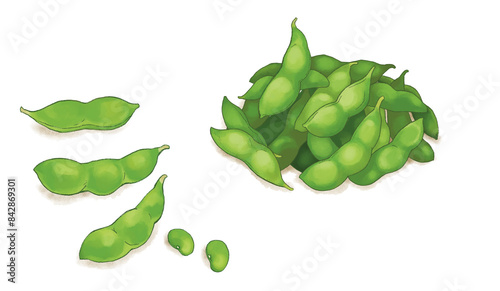 Wallpaper Mural 枝豆 Torontodigital.ca