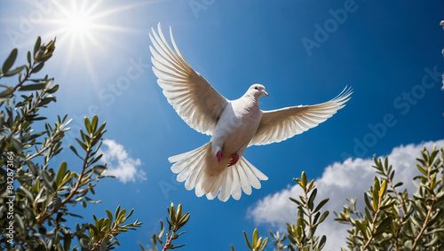 Wallpaper Mural White dove in flight against the blue sky. Symbol of peace, goodness and purity Torontodigital.ca