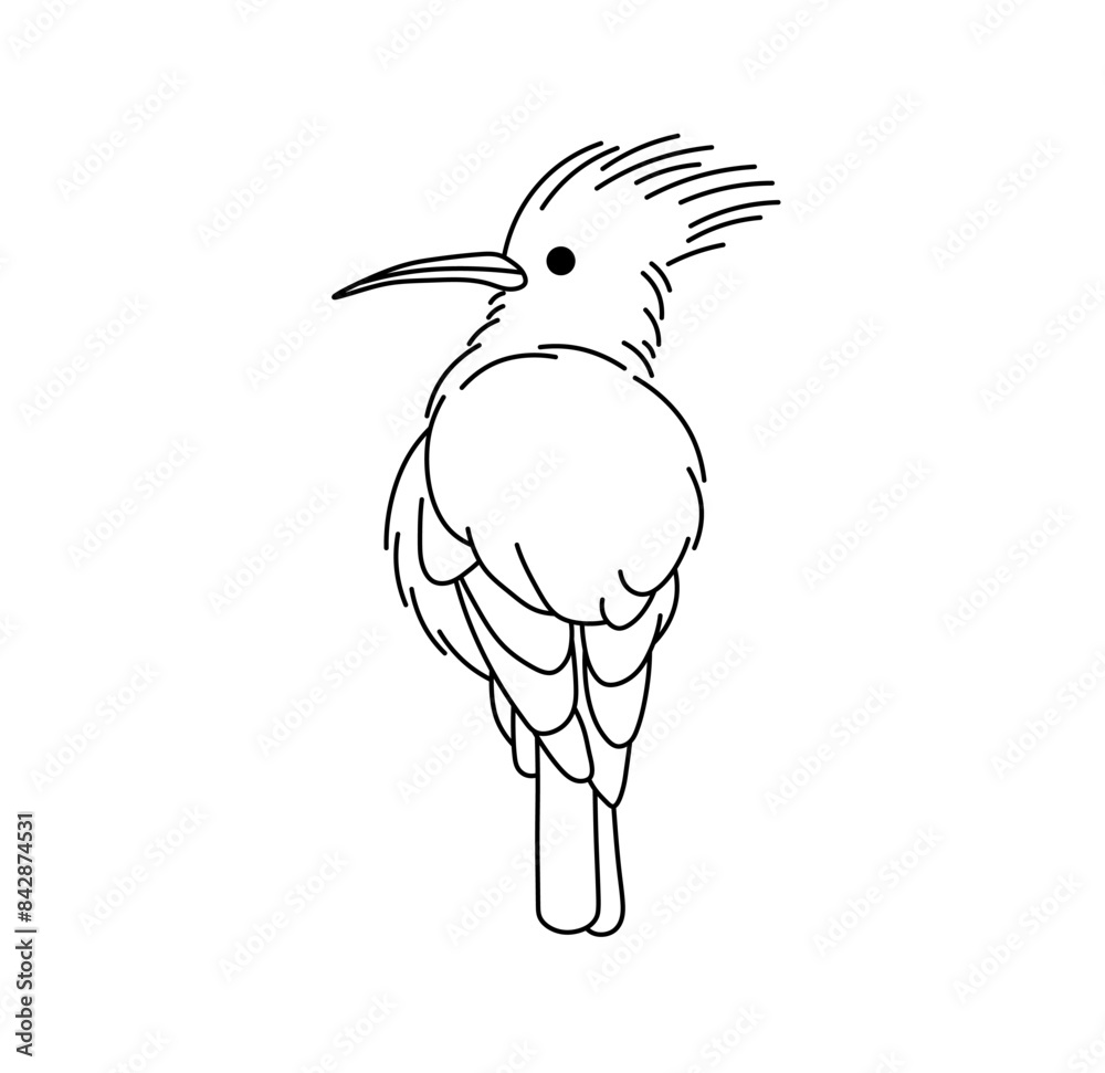 Fototapeta premium Vector isolated one single bird with a tuft colorless black and white contour line easy drawing