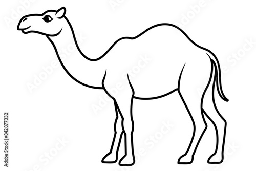 camel outline vector illustration