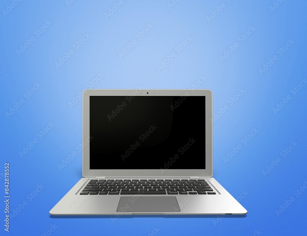 Fototapeta premium Blank screen on modern laptop computer