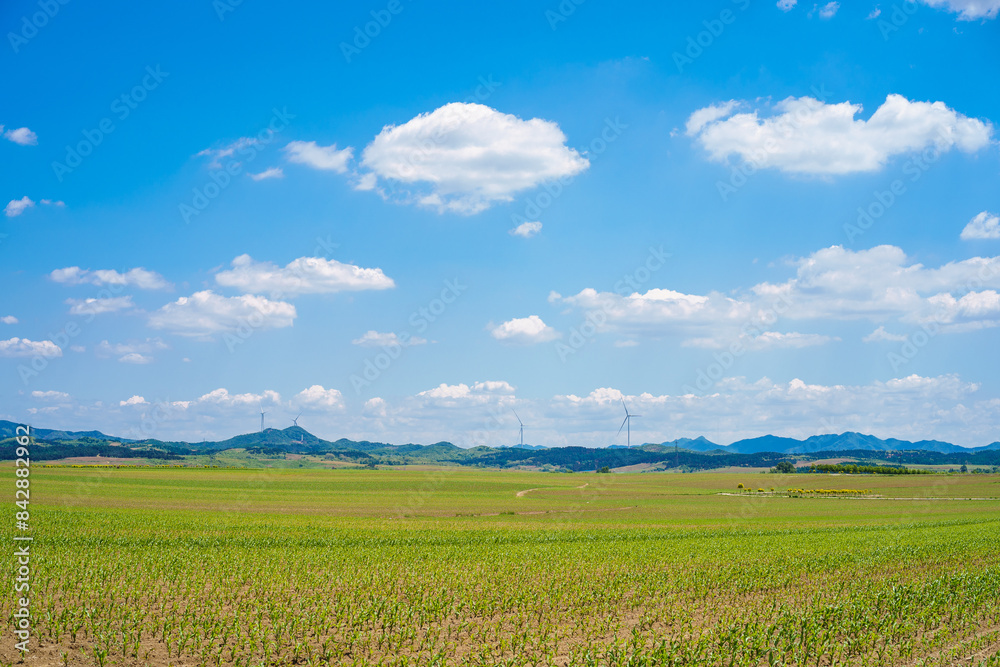 Wind turbines in the countryside of Northeast China Wind turbines in the countryside of Northeast China
