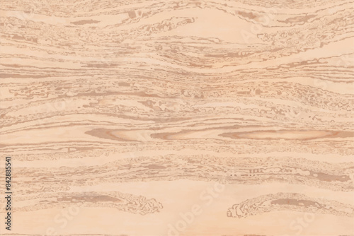 old shiny plain cut larch wood varnished  texture background