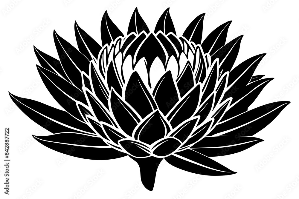 king protea flower silhouette vector illustration king protea flower silhouette vector illustration