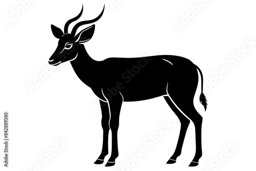 saiga antelope silhouette vector illustration