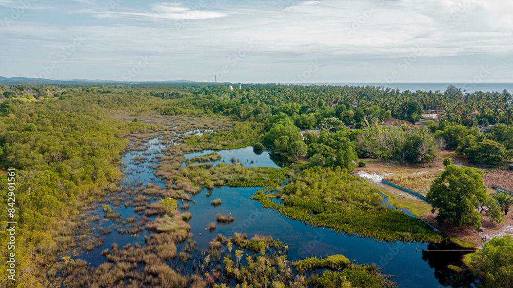 Aerial drone view of lush green swamp scenery at Pantai Jambu Bongkok, Marang, Terengganu, Malaysia Aerial drone view of lush green swamp scenery at Pantai Jambu Bongkok, Marang, Terengganu, Malaysia