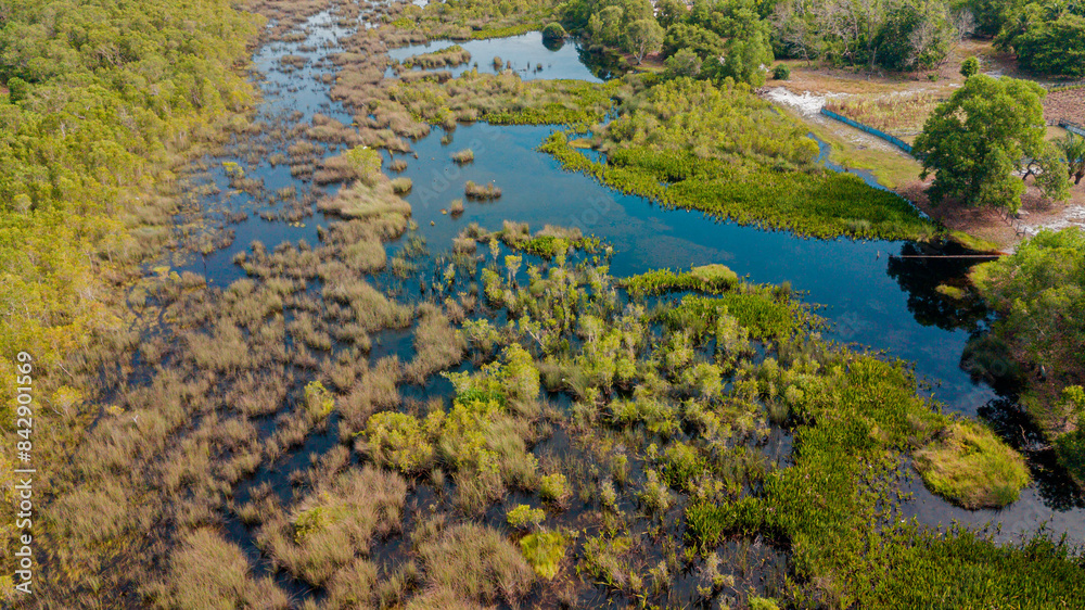 Aerial drone view of lush green  swamp scenery at Pantai Jambu Bongkok, Marang, Terengganu, Malaysia