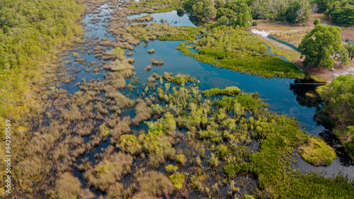 Aerial drone view of lush green swamp scenery at Pantai Jambu Bongkok, Marang, Terengganu, Malaysia