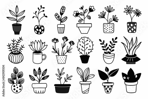 icon houseplants