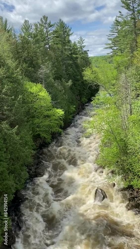 Fast water stream in the green forest in a mountain valley