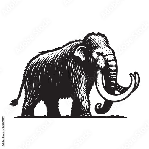 Mammoth. Beautiful vintage engraving vector illustration. Black outline 