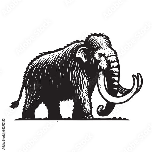 Mammoth. Beautiful vintage engraving vector illustration. Black outline	