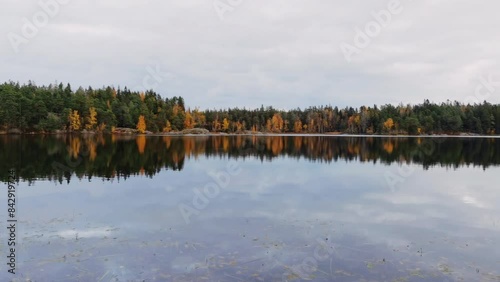 Autumn view lake sea bay  with colorful trees forest shore coast line. Background. Scenic nature symmetrical ideal water reflections. Clouds reflecting in water. Green golden foliage in fall season.