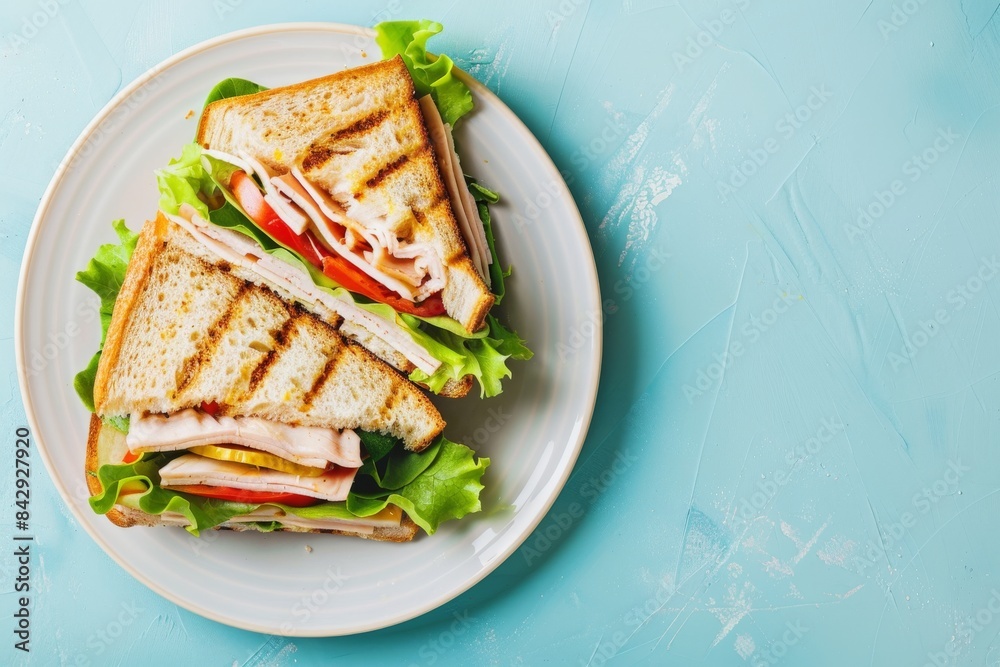 A Classic Grilled Turkey Sandwich on a White Plate Against a Teal Background A Classic Grilled Turkey Sandwich on a White Plate Against a Teal Background