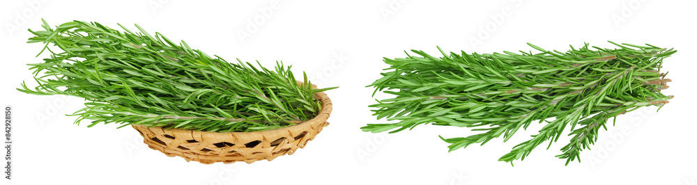 Rosemary twig and leaves in a wicker basket isolated on white background