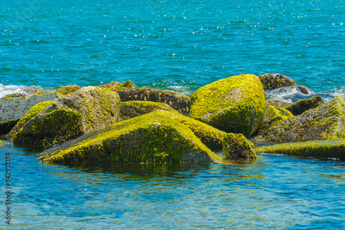 View of green moss beach in Ro village, Tuy Hoa city, Phu Yen province, Vietnam photo