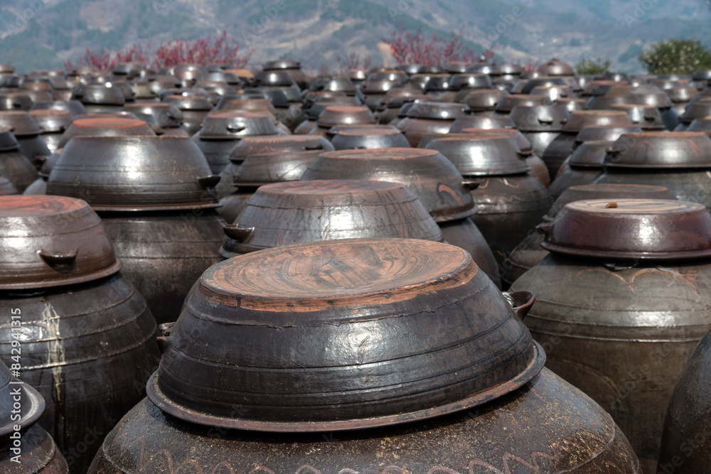 View of the traditional Korean jars for fermenting sauce and containing food in the yard View of the traditional Korean jars for fermenting sauce and containing food in the yard