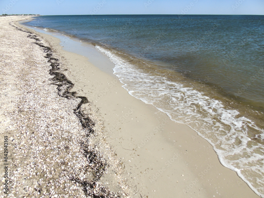A long sandy beach in perspective, on which lie the remains of dry seaweed and shells A long sandy beach in perspective, on which lie the remains of dry seaweed and shells