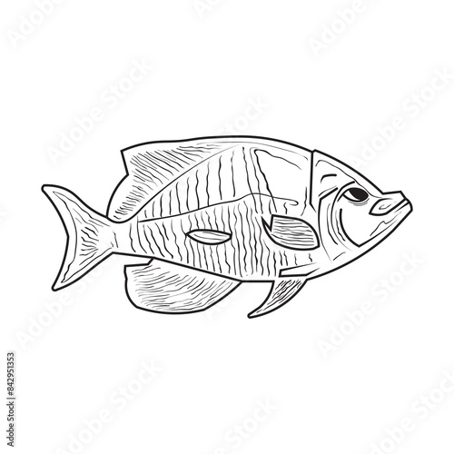 Printvector illustration of marine fish typography photo