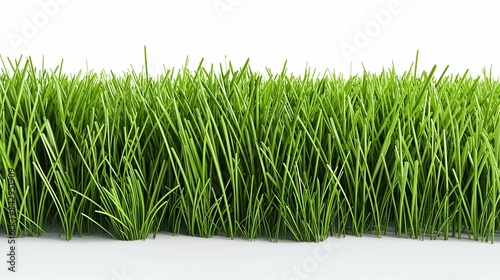 A 3D graphic of dense green grass, ideal for a sports field, perfectly trimmed and uniform, presented against a stark white background.