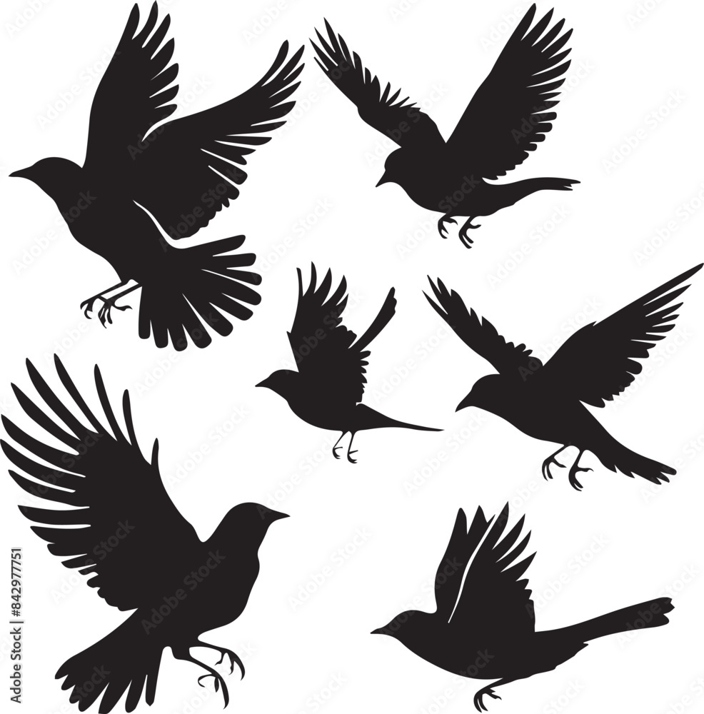silhouettes of birds silhouettes of birds