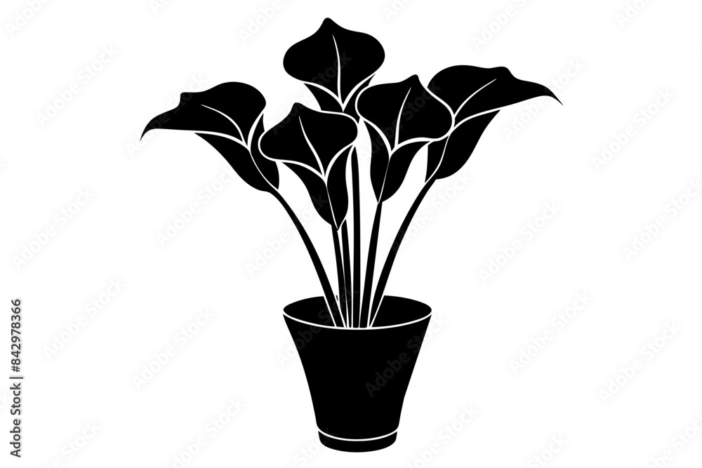 calla lily flower silhouette vector illustration calla lily flower silhouette vector illustration