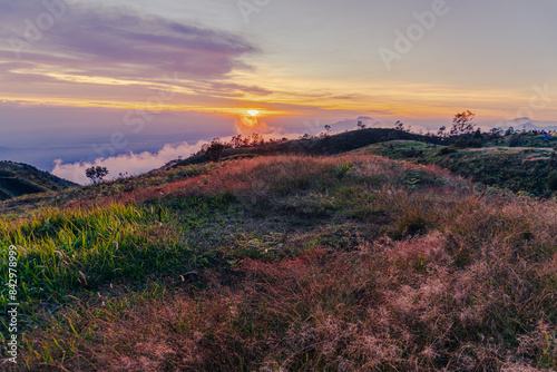 sunrise over the field