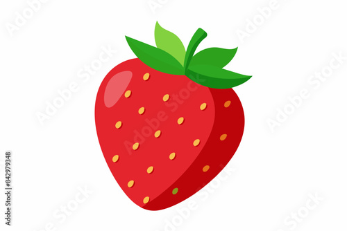 strawberry fruit vector illustration