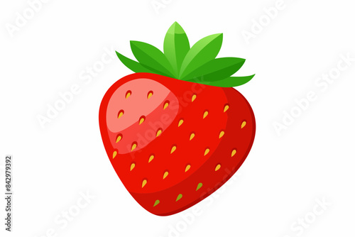 strawberry fruit vector illustration