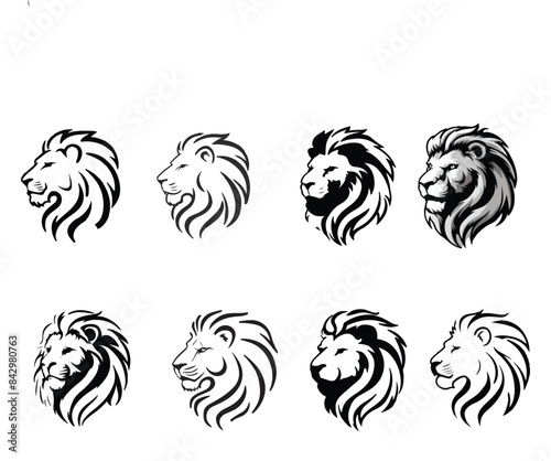 ion head logo icon, lion face vector Illustration, on a isolated background, EPS