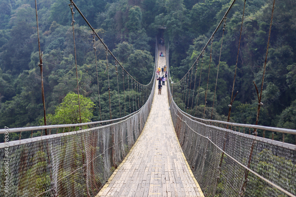 Fototapeta premium suspension bridge featuring steel construction and a wooden deck, blending modern engineering with natural materials. Ideal for showcasing architectural innovation and scenic beauty