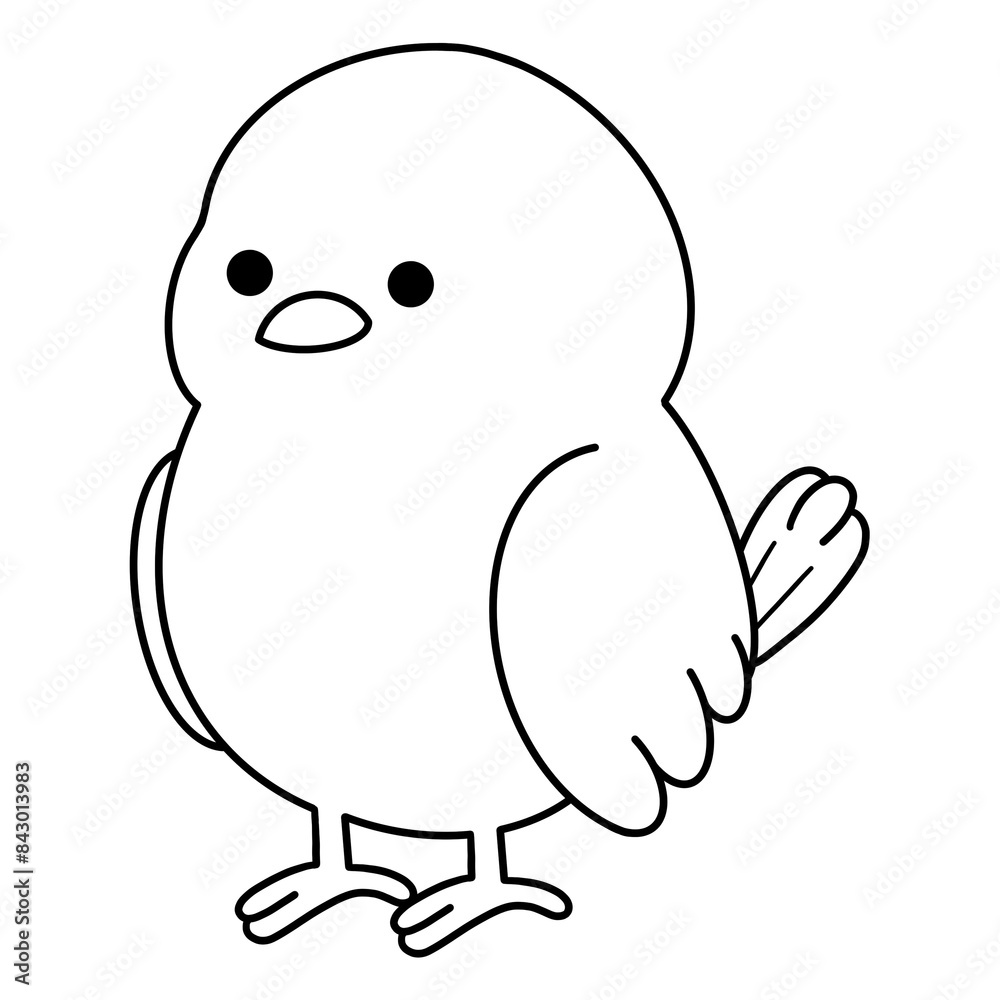 Bird Bird